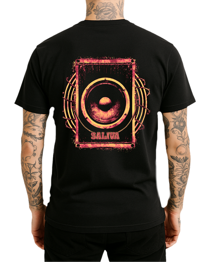 STEREO T